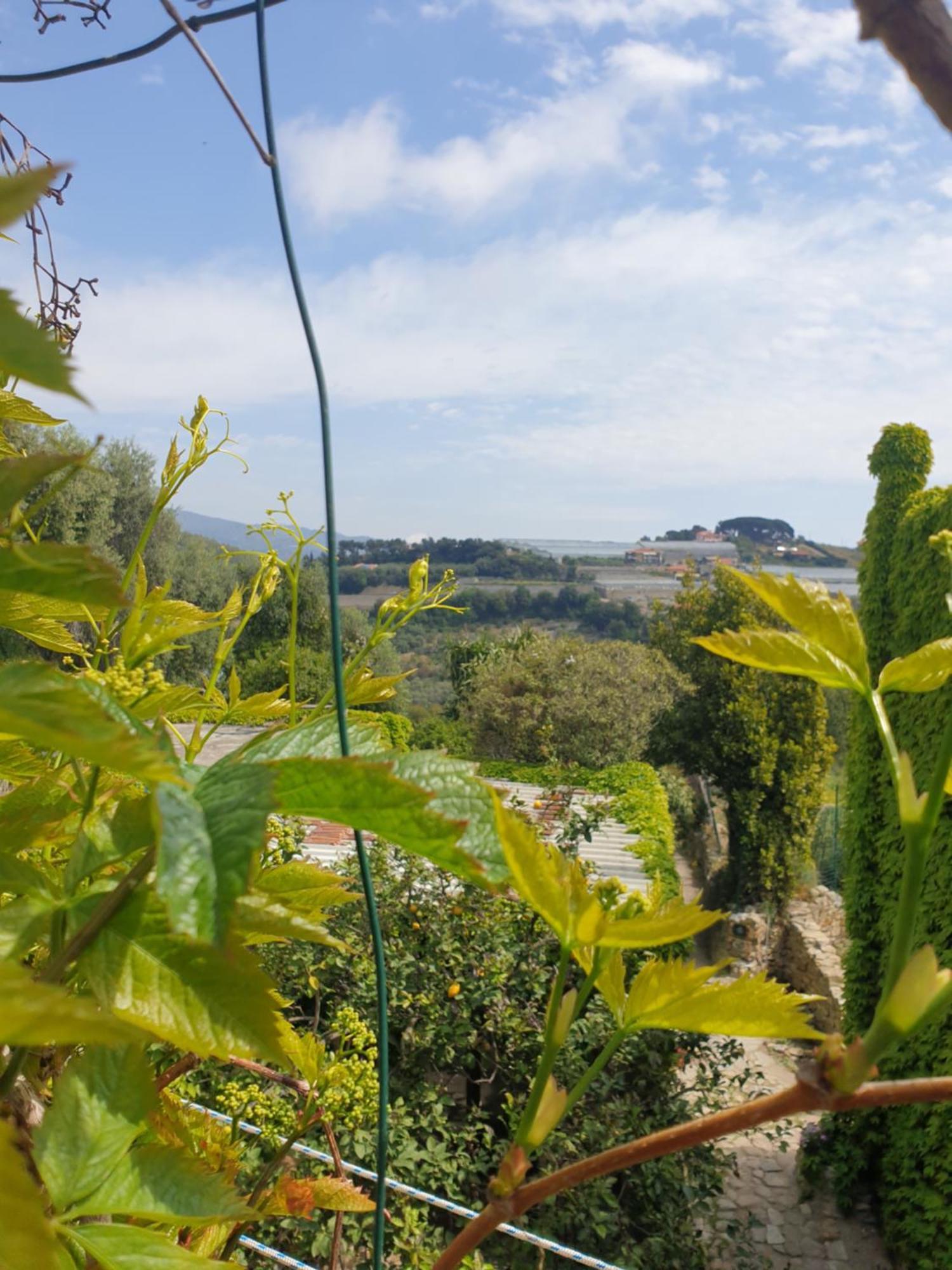Casa Di Ingrida Bussana Vecchia